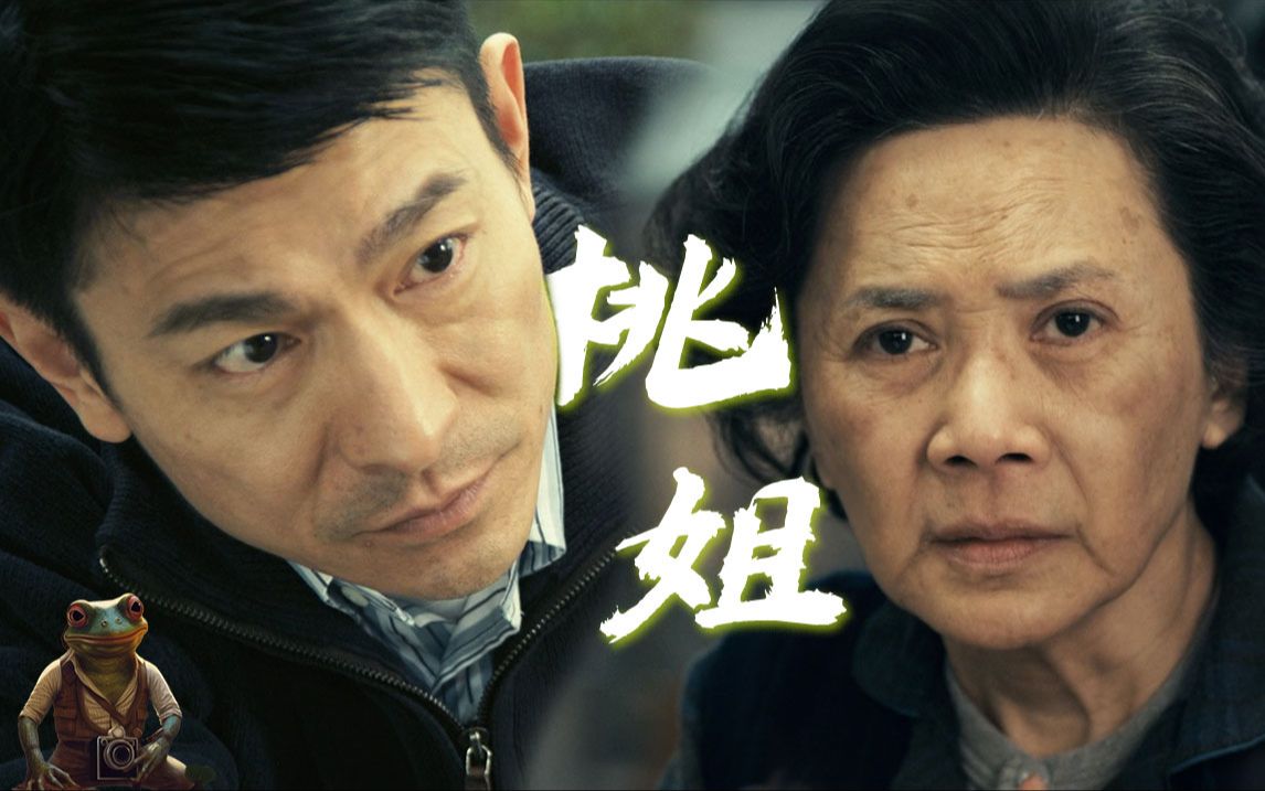 刘德华“零片酬”!本色出演!只为献给生命中那位伟大的女人——《桃姐》哔哩哔哩bilibili