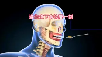 食物如何在体内形成粪便，人体消化系统工作原理
