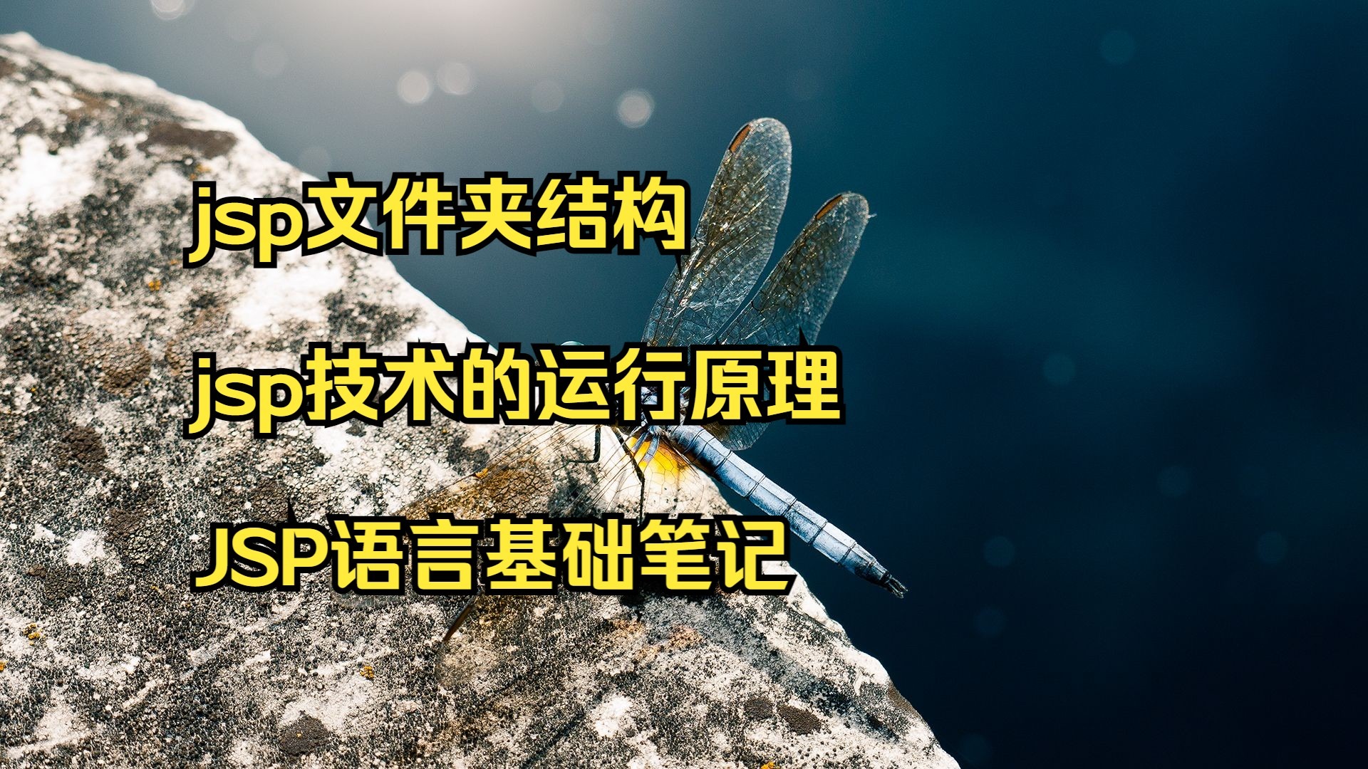 jsp是什么文件，jsp是什么文件格式,什么软件可以打开
