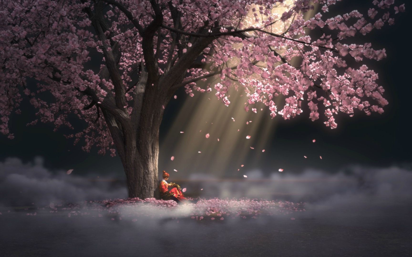 【钢琴】《似水流年-落英》少年锦衣卫