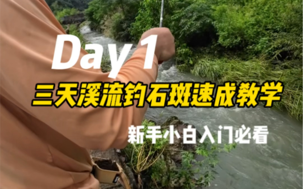 新手小白入门必看,三天溪流钓石斑速成教学
