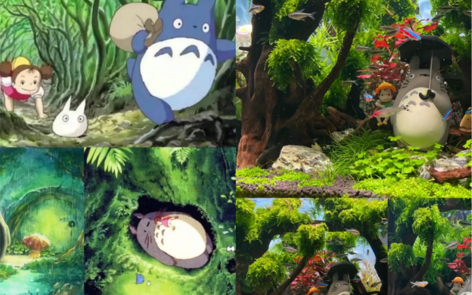 将龙猫森林移进鱼缸