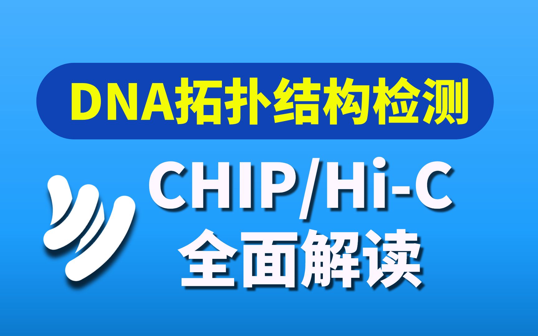 ChIP & ChIPSeq实验原理与成功要素及测序数据分析解读哔哩哔哩bilibili