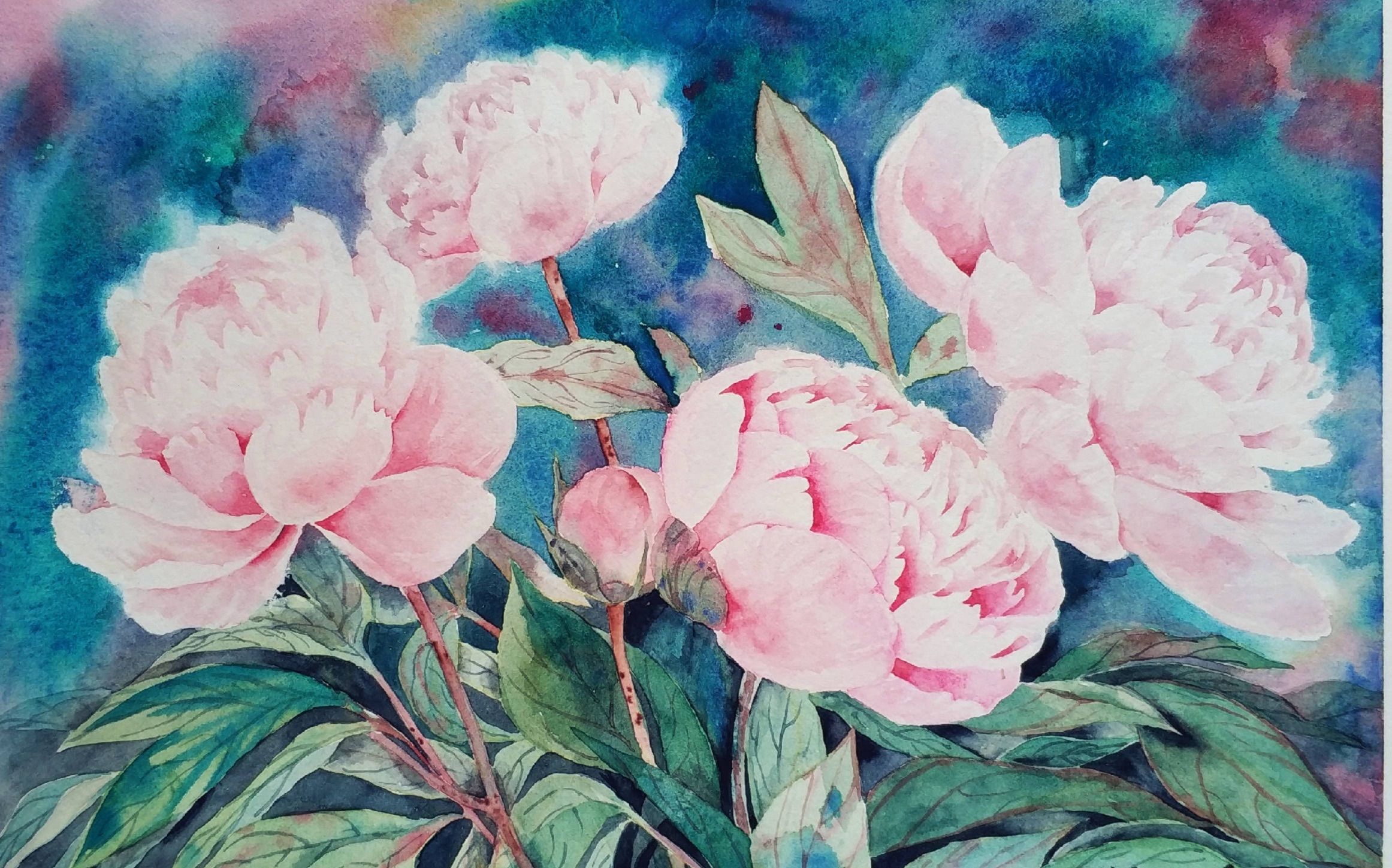 水彩画芍药部分过程/手绘/花卉/吉祥颜彩/非教程_哔