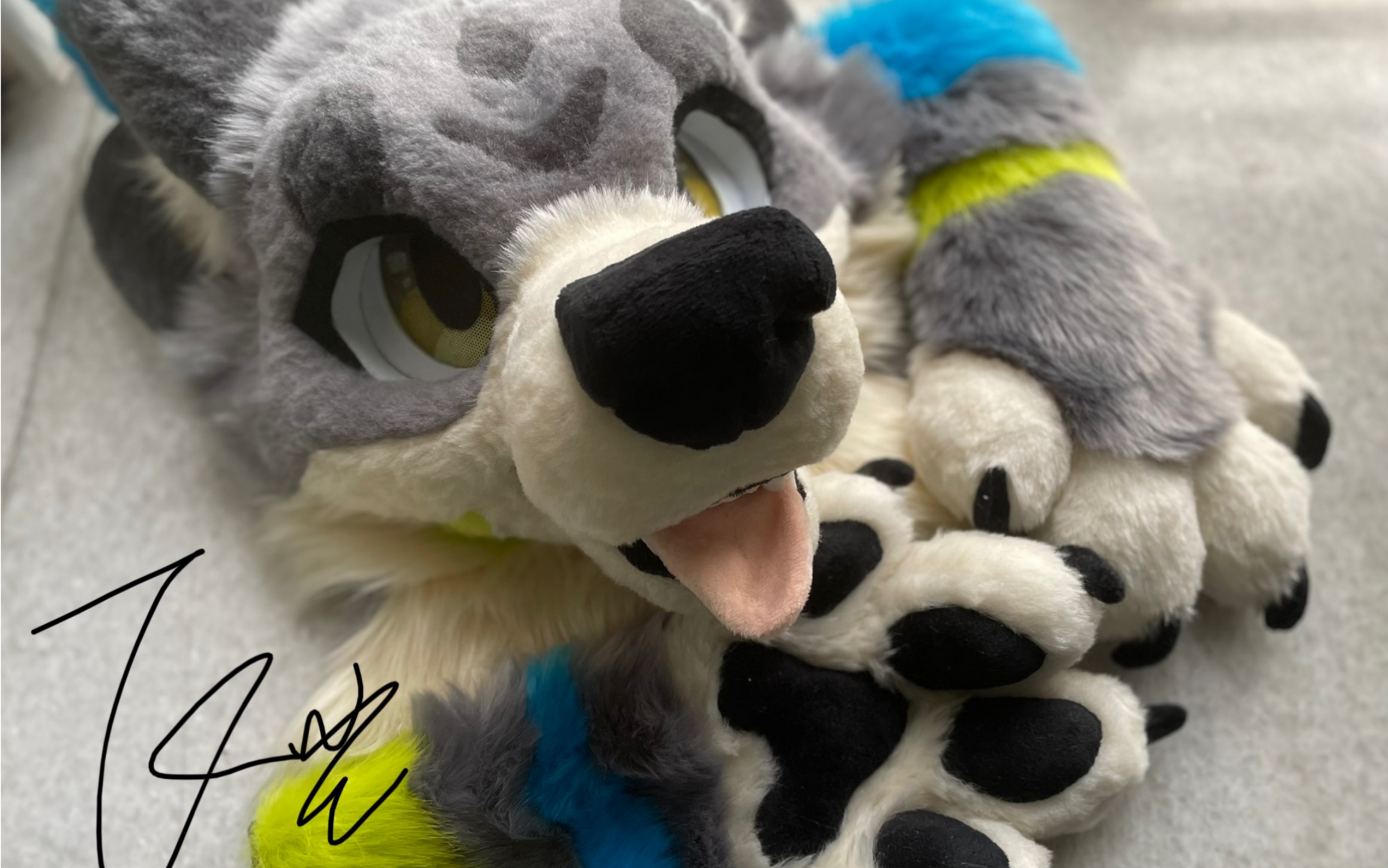 fursuit飞尘兽装美系犬科