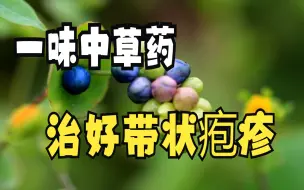 Tải video: 一味中草药，治好带状疱疹！