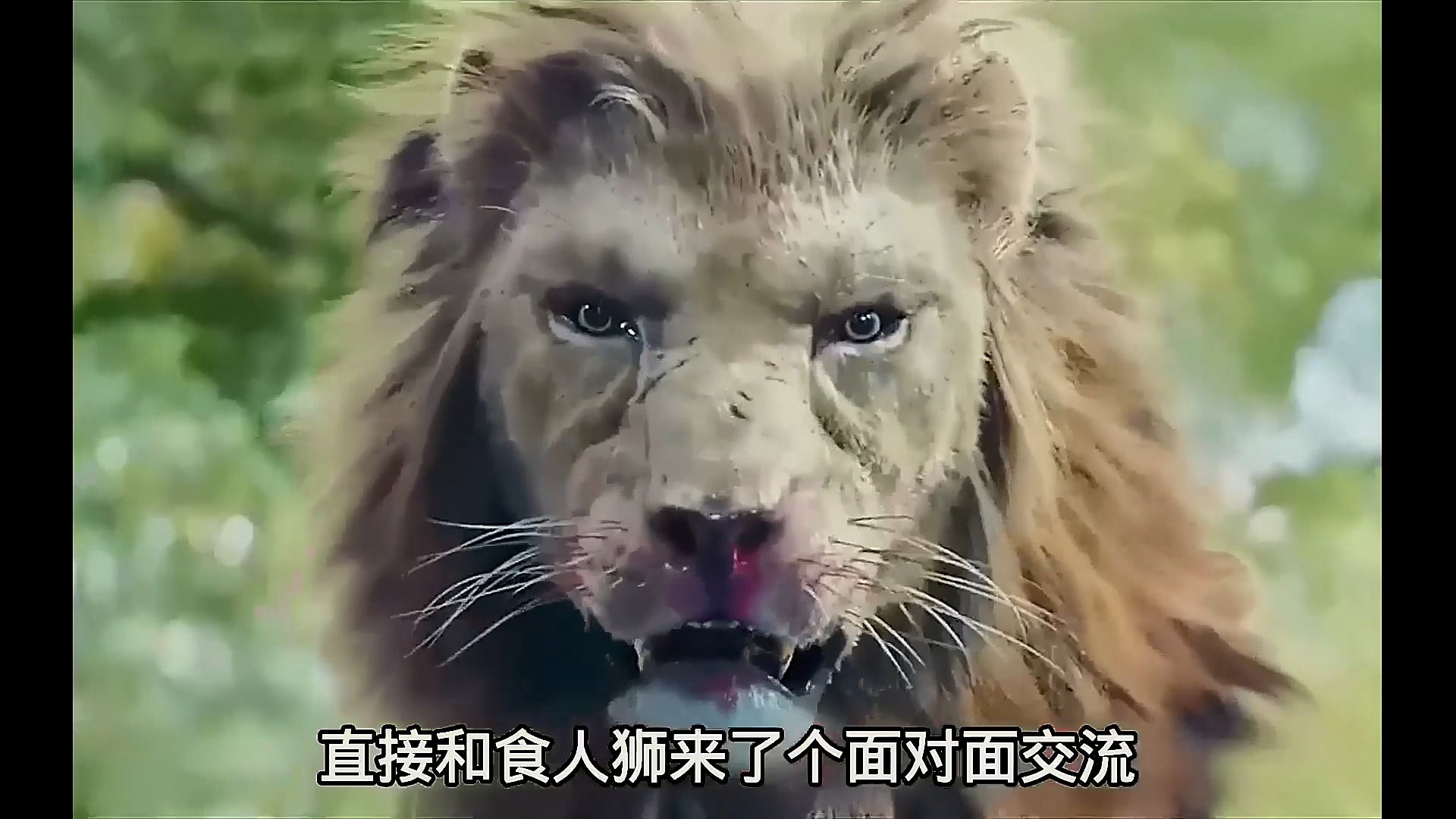 城市里惊现食人狮