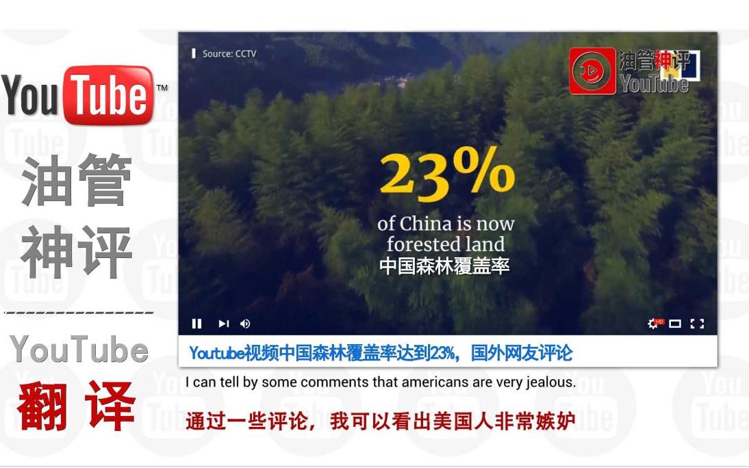 Youtube视频中国森林覆盖率达到23%,国外网友评论哔哩哔哩bilibili