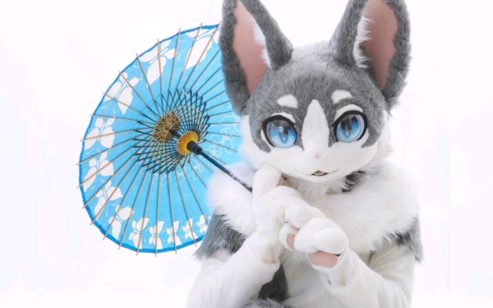 兽装fursuit古灵精怪萌萌哒の喵系兽装大赏xd