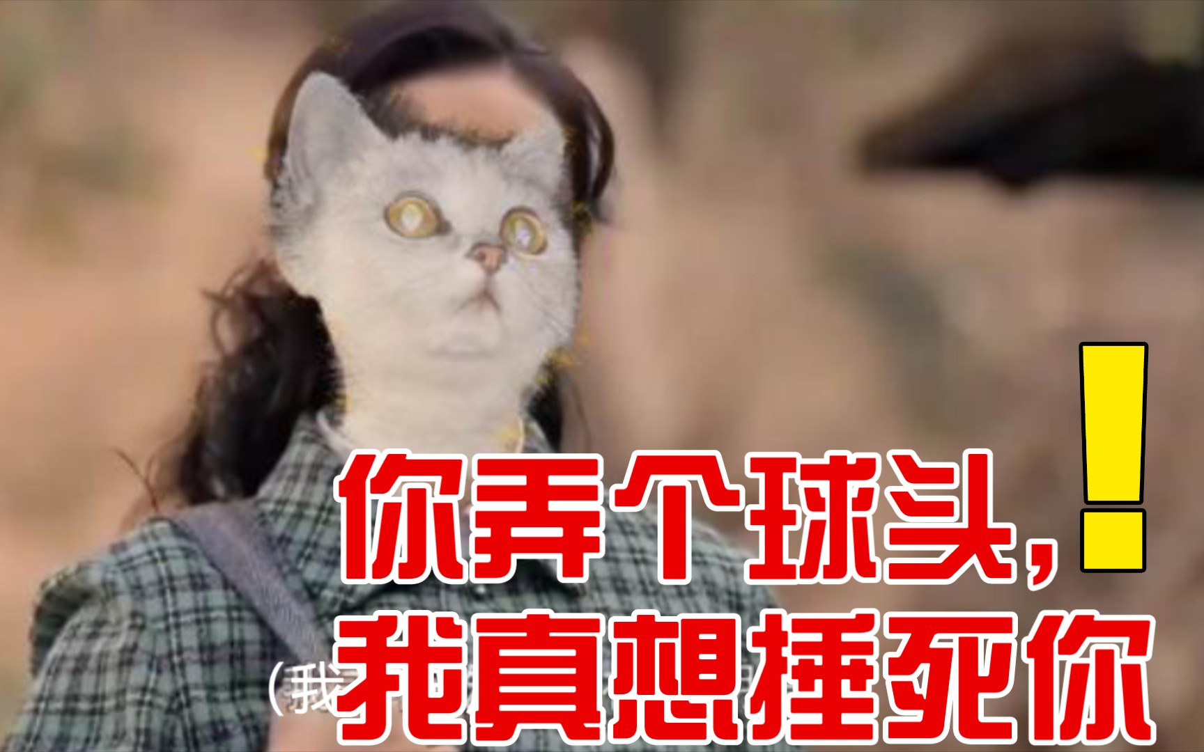 找石圪节公社的胡德禄给猫猫弄了个时兴的发型她要捶死我