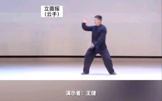 [图]【搬运】王健先生演示三摇三摆太极拳