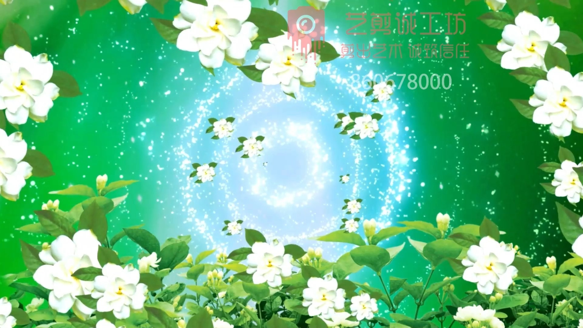 《茉莉情怀》独舞舞蹈背景视频led