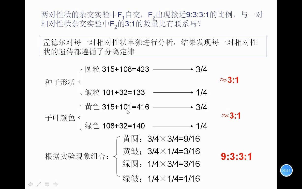 [图]高中生物必修2（新高考）第1章第2节孟德尔豌豆杂交实验（二）---（1）