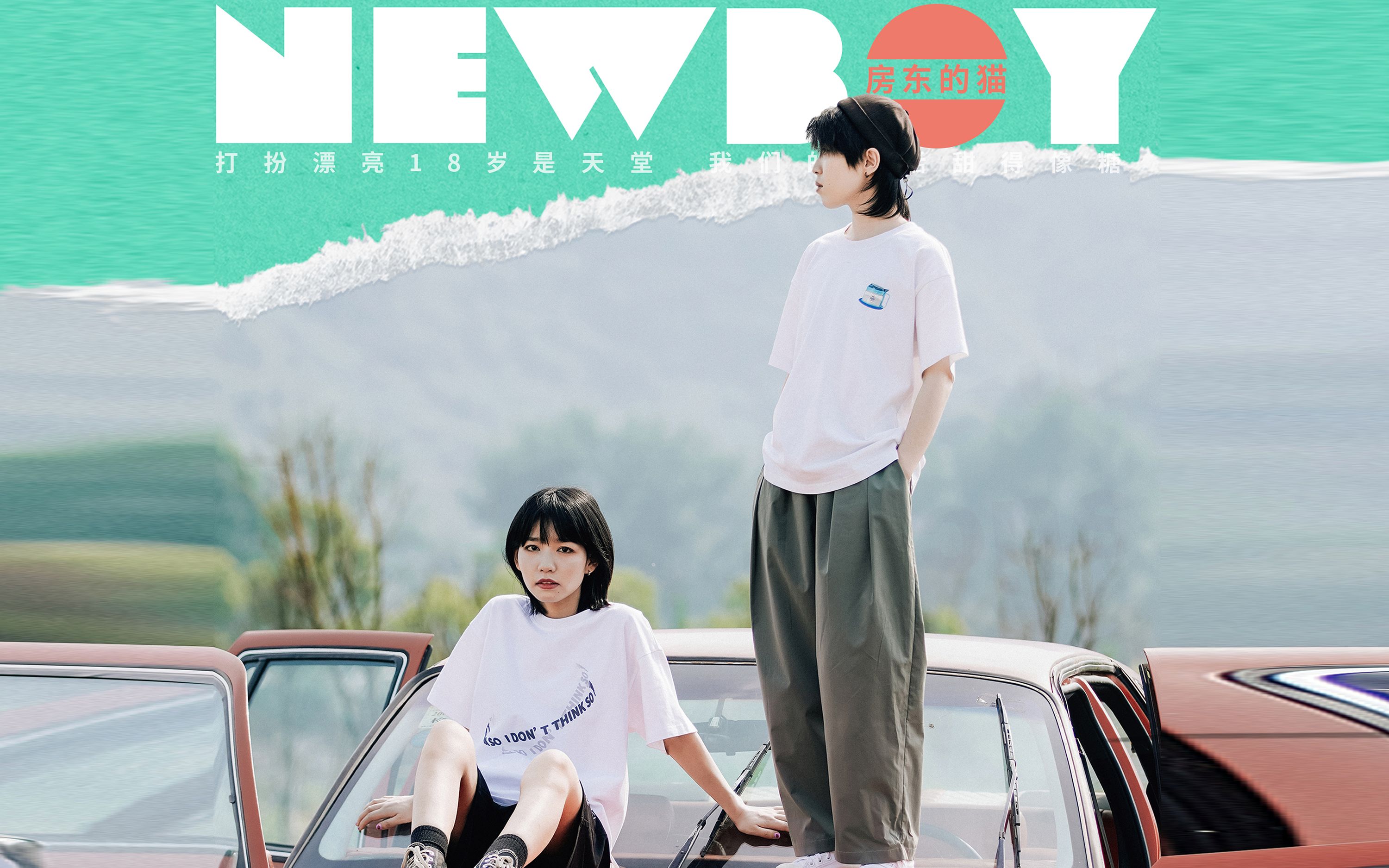 [图]房东的猫再度演绎《NEW BOY》仿佛回到了少年少女18 岁的时候！