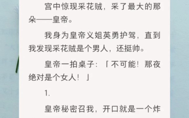 宫中惊现采花贼,把皇帝采了,我身为皇帝义姐英勇追查,直到我发现采花贼是个男人,还挺帅哔哩哔哩bilibili