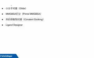 Download Video: 2022薛定谔中文网络培训系列 二 、 基于结构的虚拟筛选