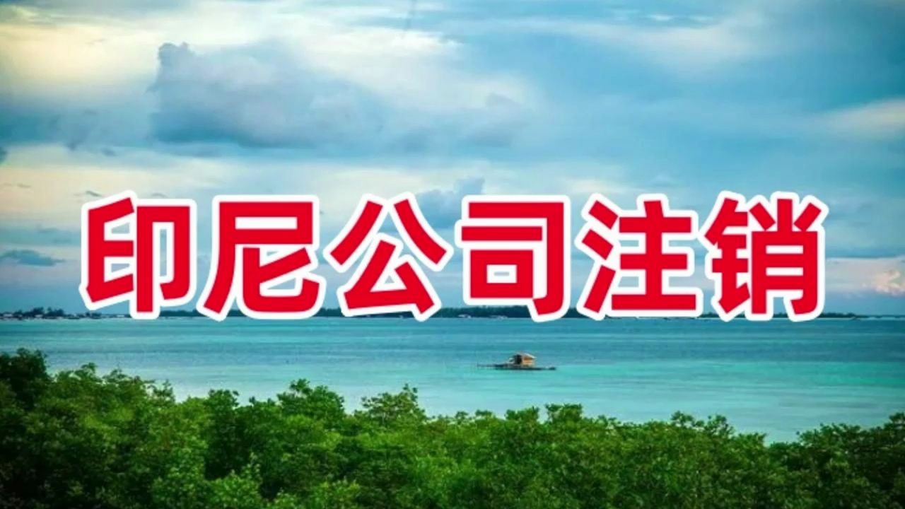 印尼公司注销有哪些原因 印尼商标申请 印尼公司变更哔哩哔哩bilibili