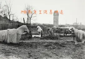 Descargar video: 1981南京低洼菜地抗金名将王德墓神道