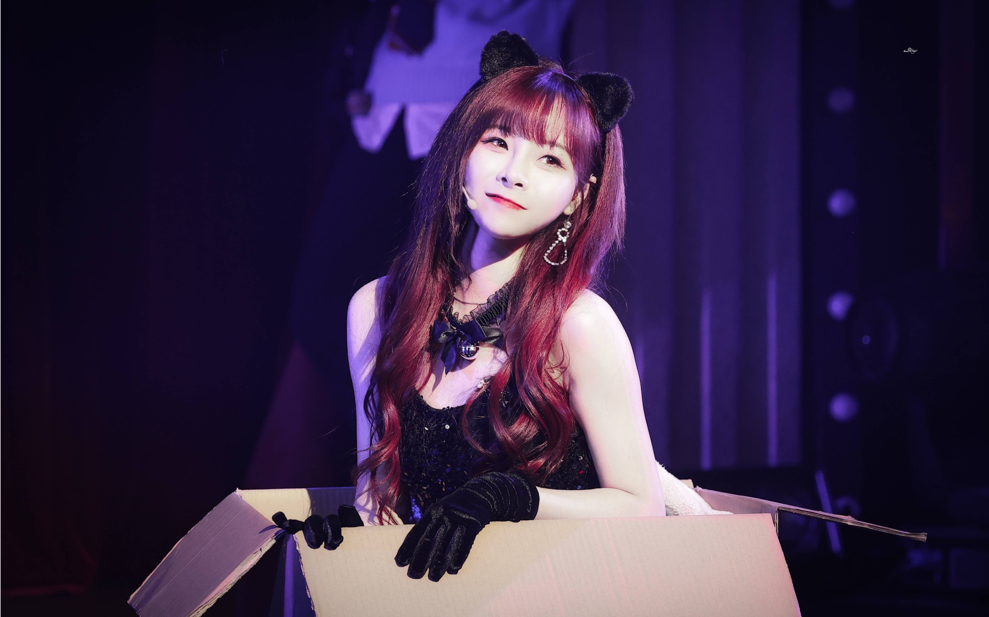 沈小爱210318最佳拍档舞台夜行的黑猫focus