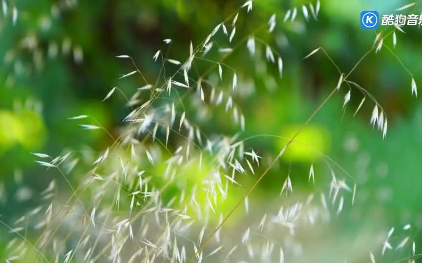 [图]伽菲珈而 - 一把小雨伞