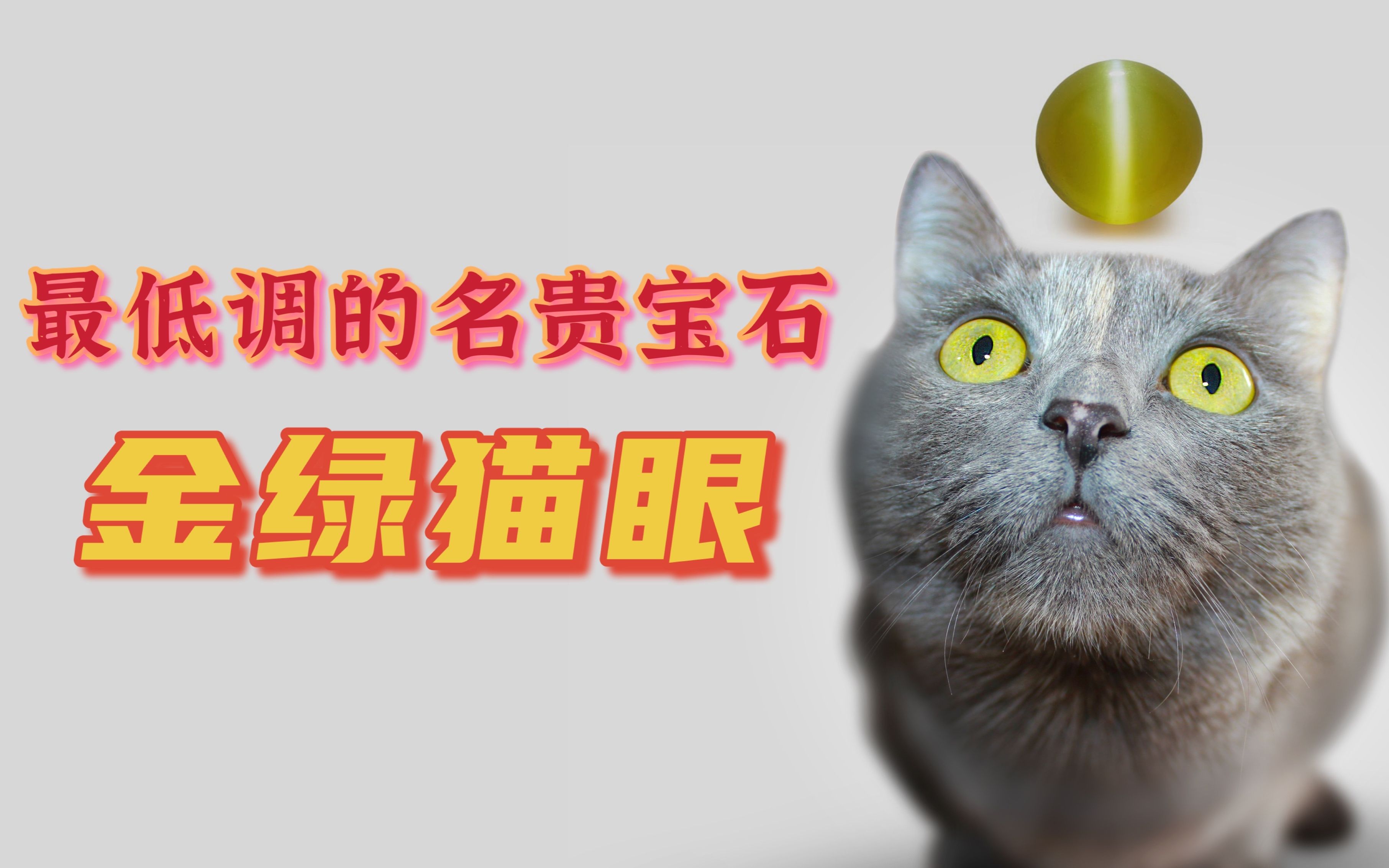 宝石的尽头是金绿猫眼哔哩哔哩bilibili