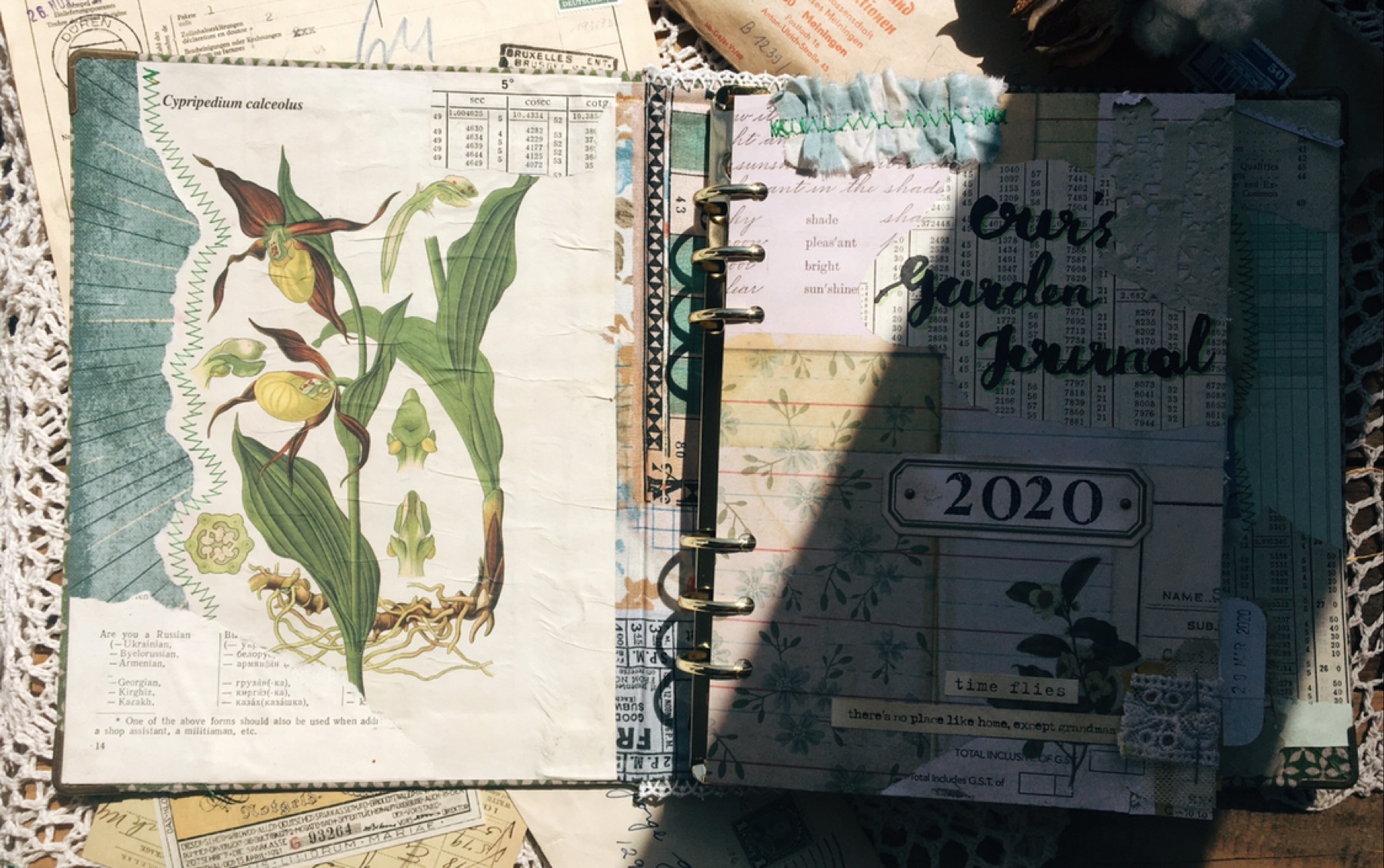 【junk journal】Our's Garden Journal//园艺日志//活页笔记本//森系植物风格//美式复古拼贴手帐//miya手作哔哩哔哩bilibili