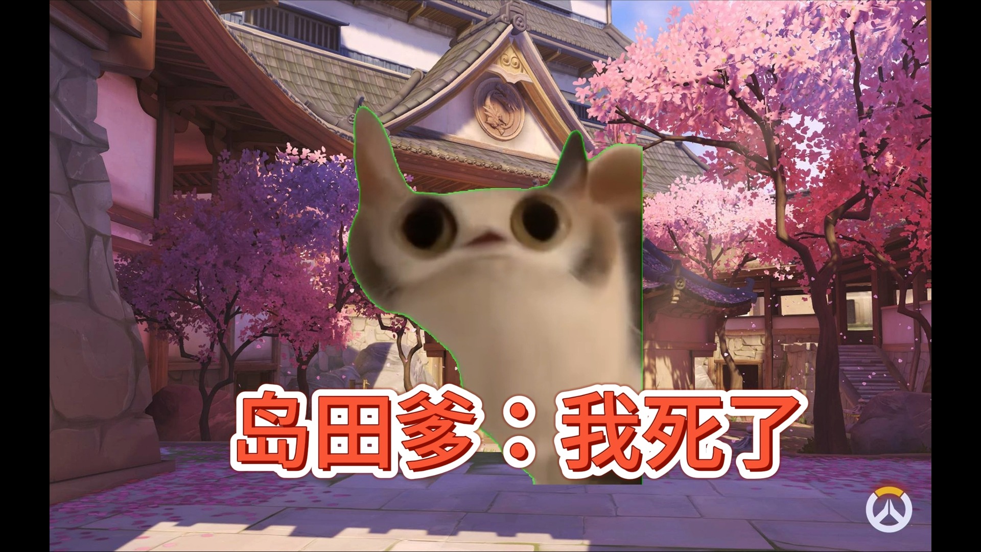 用猫meme打开源氏的故事哔哩哔哩bilibili