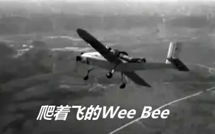 Download Video: 世界最小飞机头衔争夺战之一——最小的飞机曾经是Wee Bee，爬着飞的