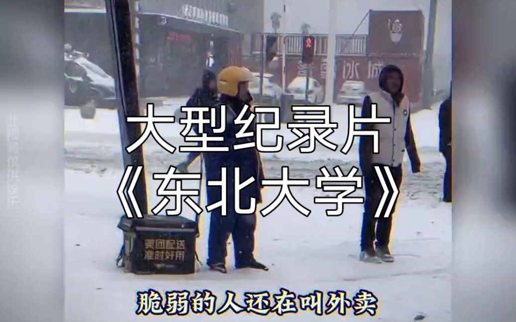 [图]大型纪录片 《东北大雪》上映 暴雪 你的城市下雪了吗