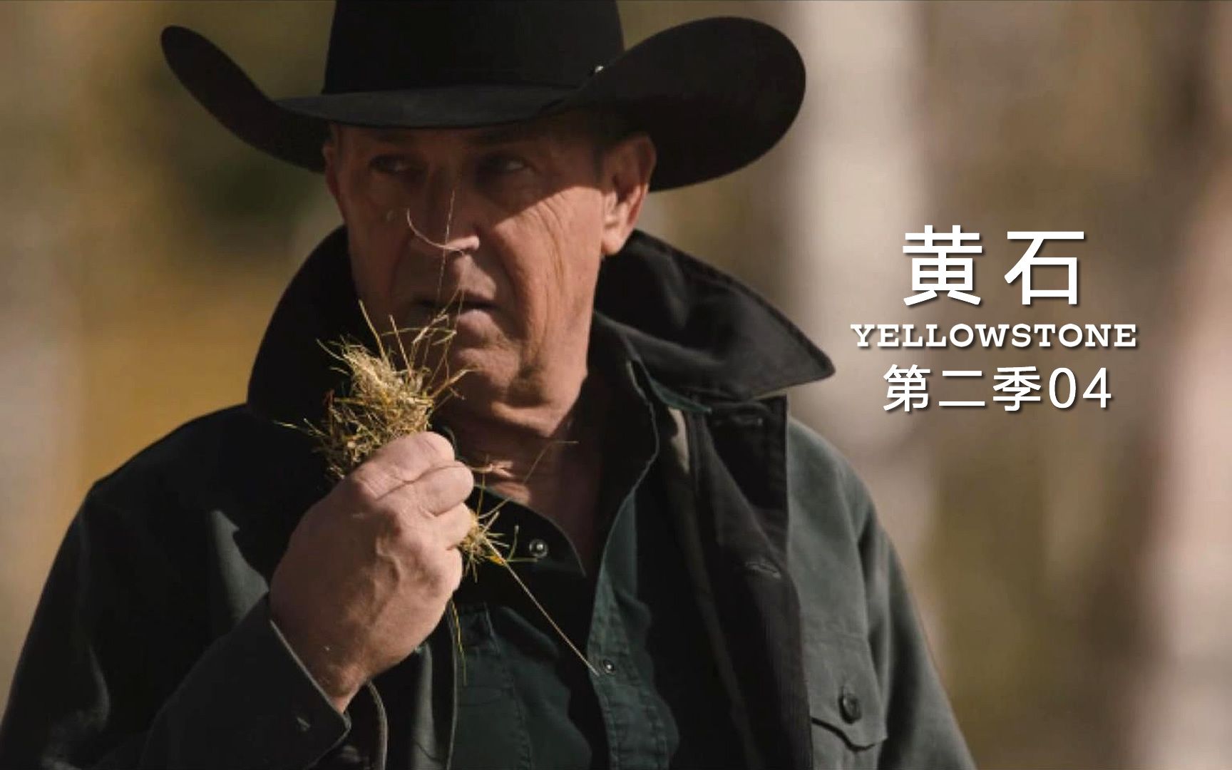 《黄石2》04:一种草害死了几百头牛,老达顿被人下套损失百万