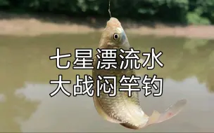 Download Video: 对付流水不止是闷竿钓！星漂流水更霸道！PK结果让老头急红眼！