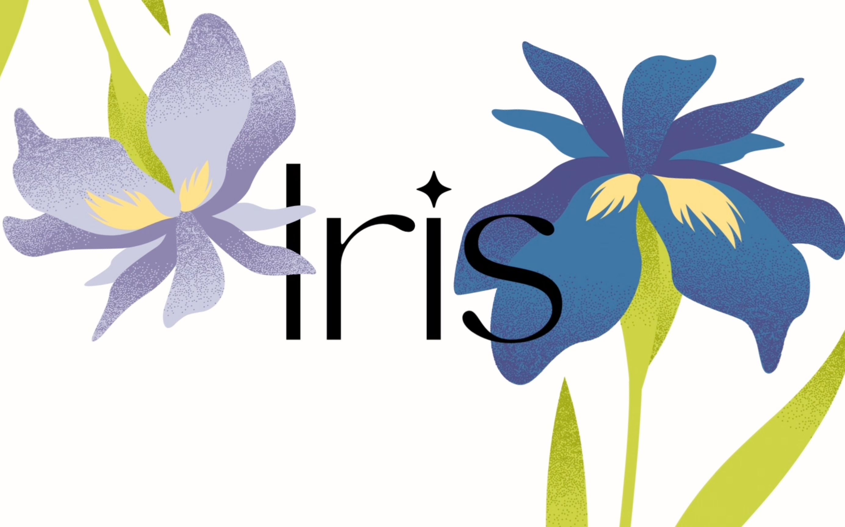 2022欧莱雅商赛|loreal brandstorm 2022 iris 为视障群体而创立的美