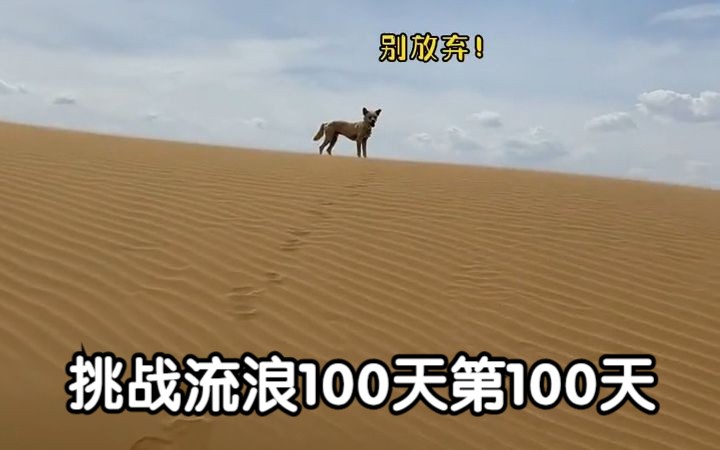 [图]挑战流浪100天第100天 沙漠的尽头是……