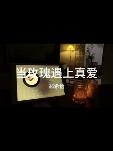 “郑希怡《玫瑰真爱》:旋律里的浪漫邂逅”哔哩哔哩bilibili