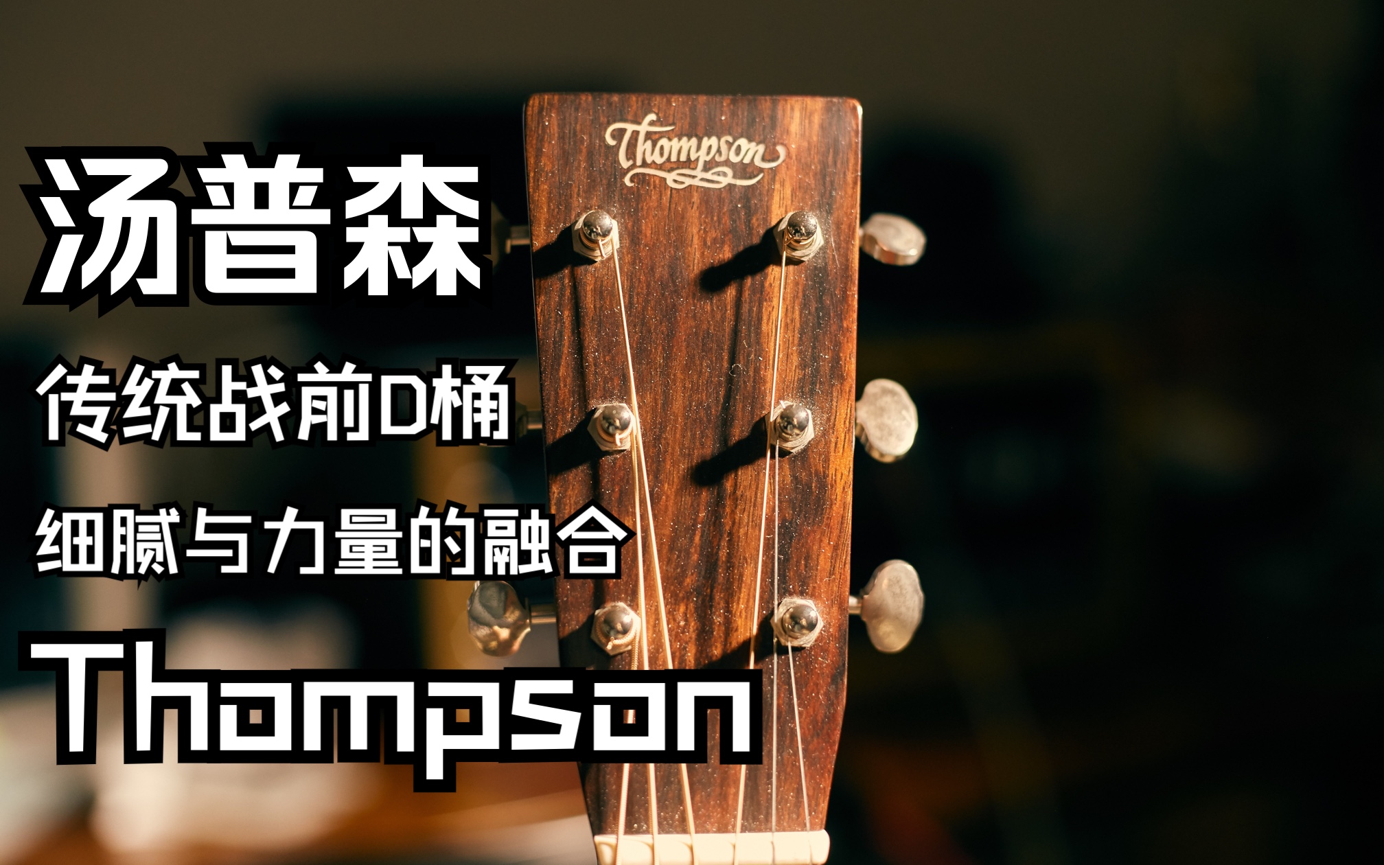 汤普森Thompson吉他,就是这支吉他让我着迷了这么久哔哩哔哩bilibili