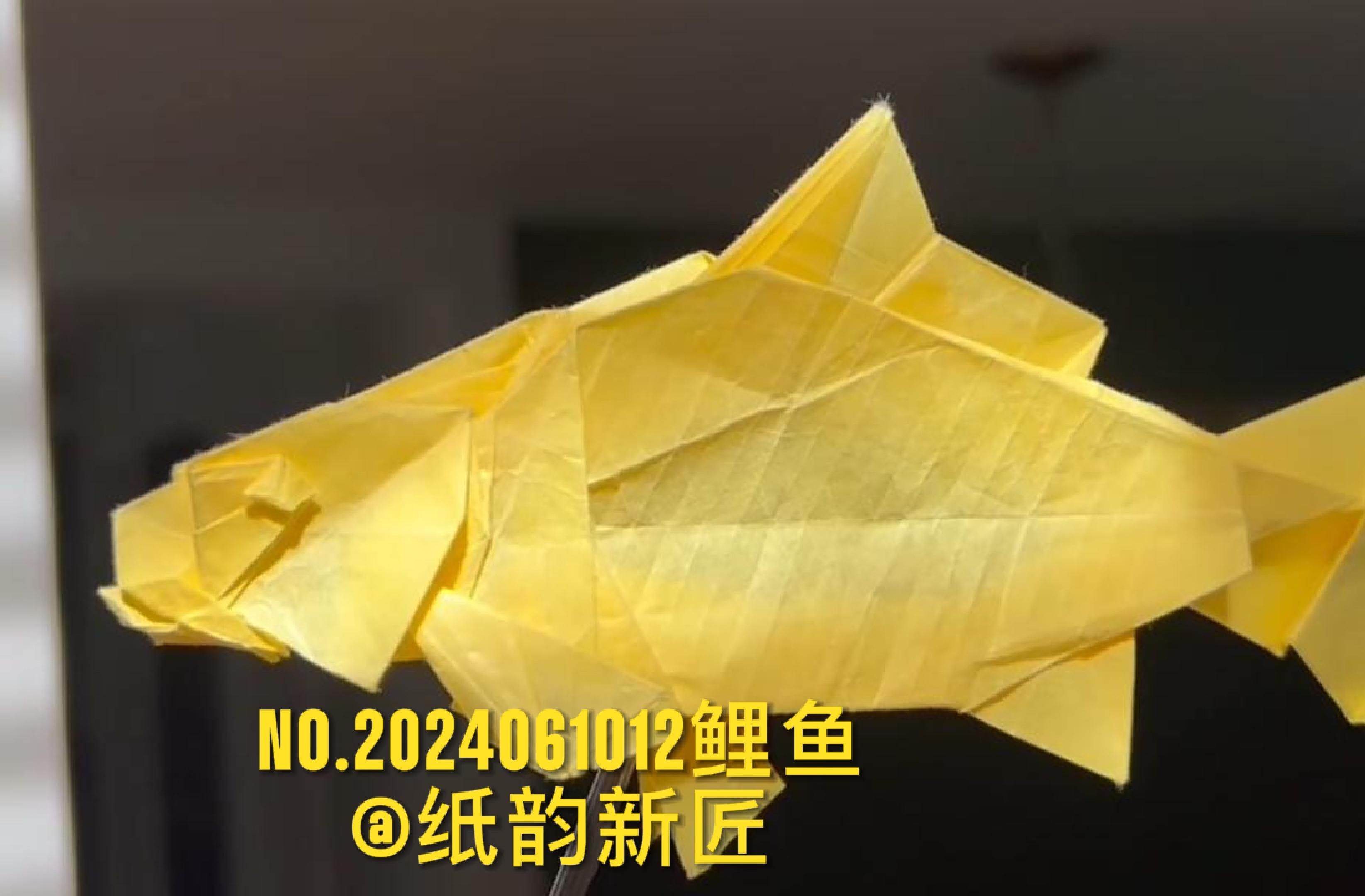 no.2024061012鲤鱼6月水生生物主题折纸作品展