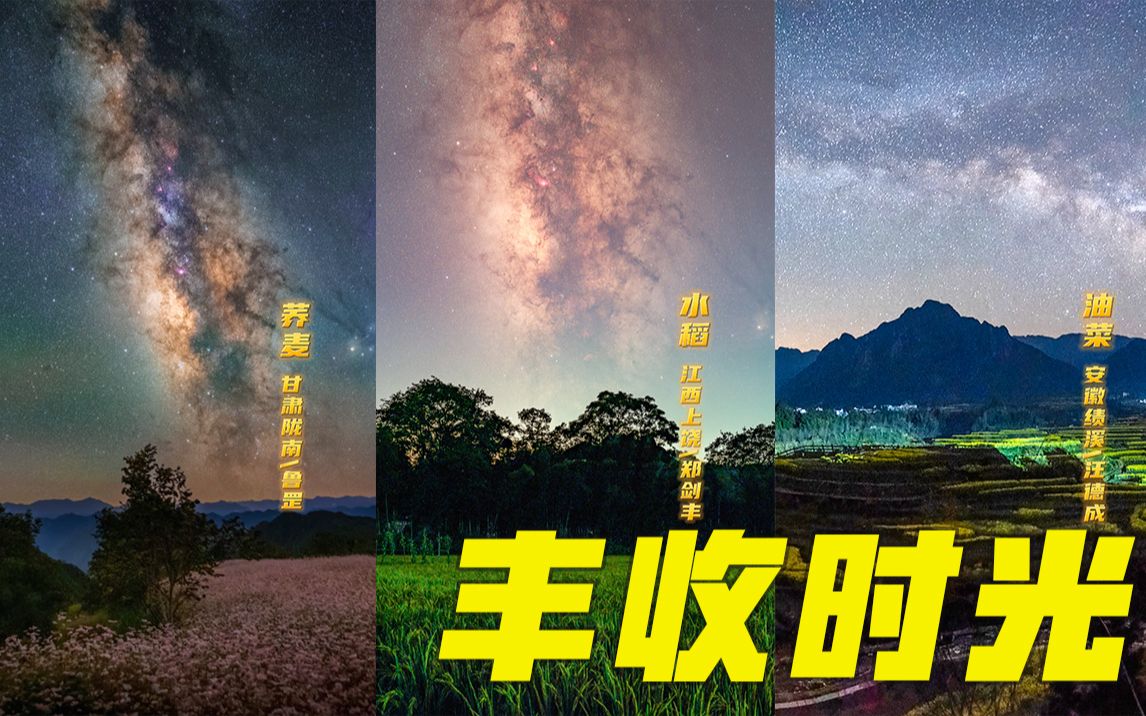 当灿烂星光邂逅丰收时光哔哩哔哩bilibili