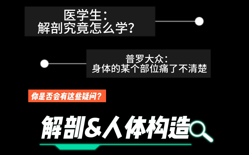 「医学生解剖学习好用图谱分享」想要了解自己身体构造?|生理和解剖知识相结合的图谱|寄生虫图谱哔哩哔哩bilibili