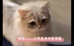 Скачать видео: 邓峰神颜猫咪nana·女明星日常管理身材，嗲嗲女鹅叫！还有怂怂你在干嘛哈哈哈哈