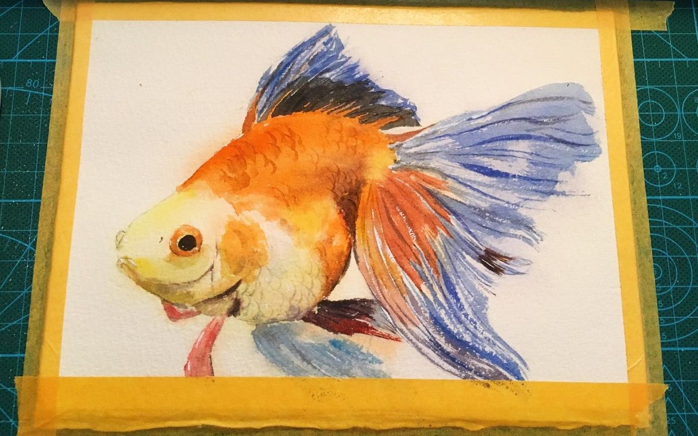手绘胖金鱼水彩手绘过程记录