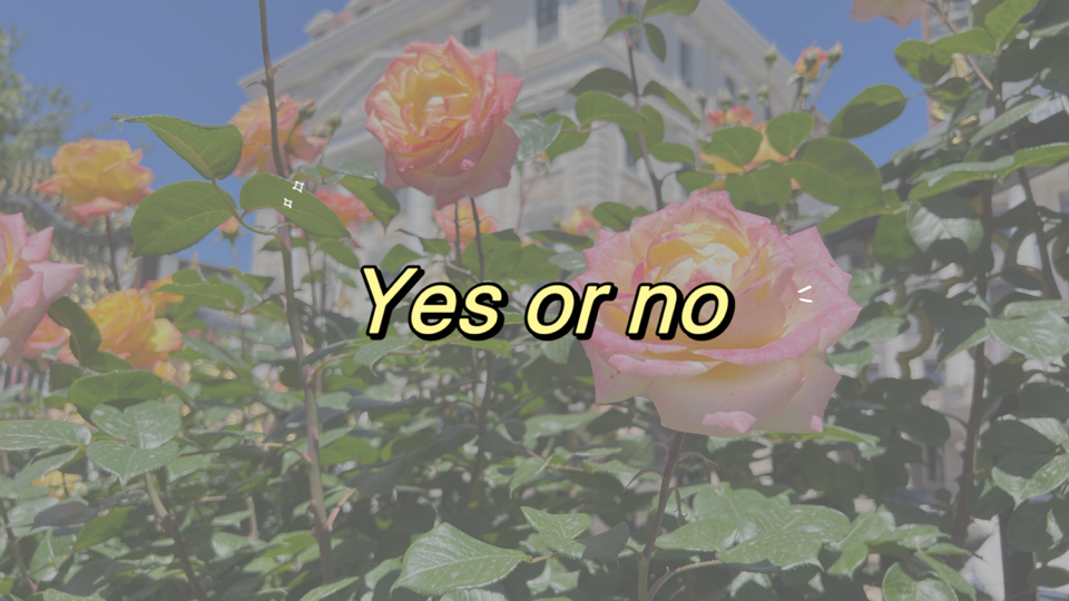 【Yes or no】这个问题yes or no哔哩哔哩bilibili