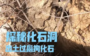 北京房山化石洞探秘，此地知道的人不多，目前就像个天坑