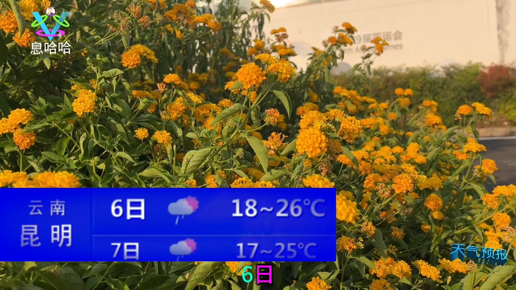 9月6日天气今日情况