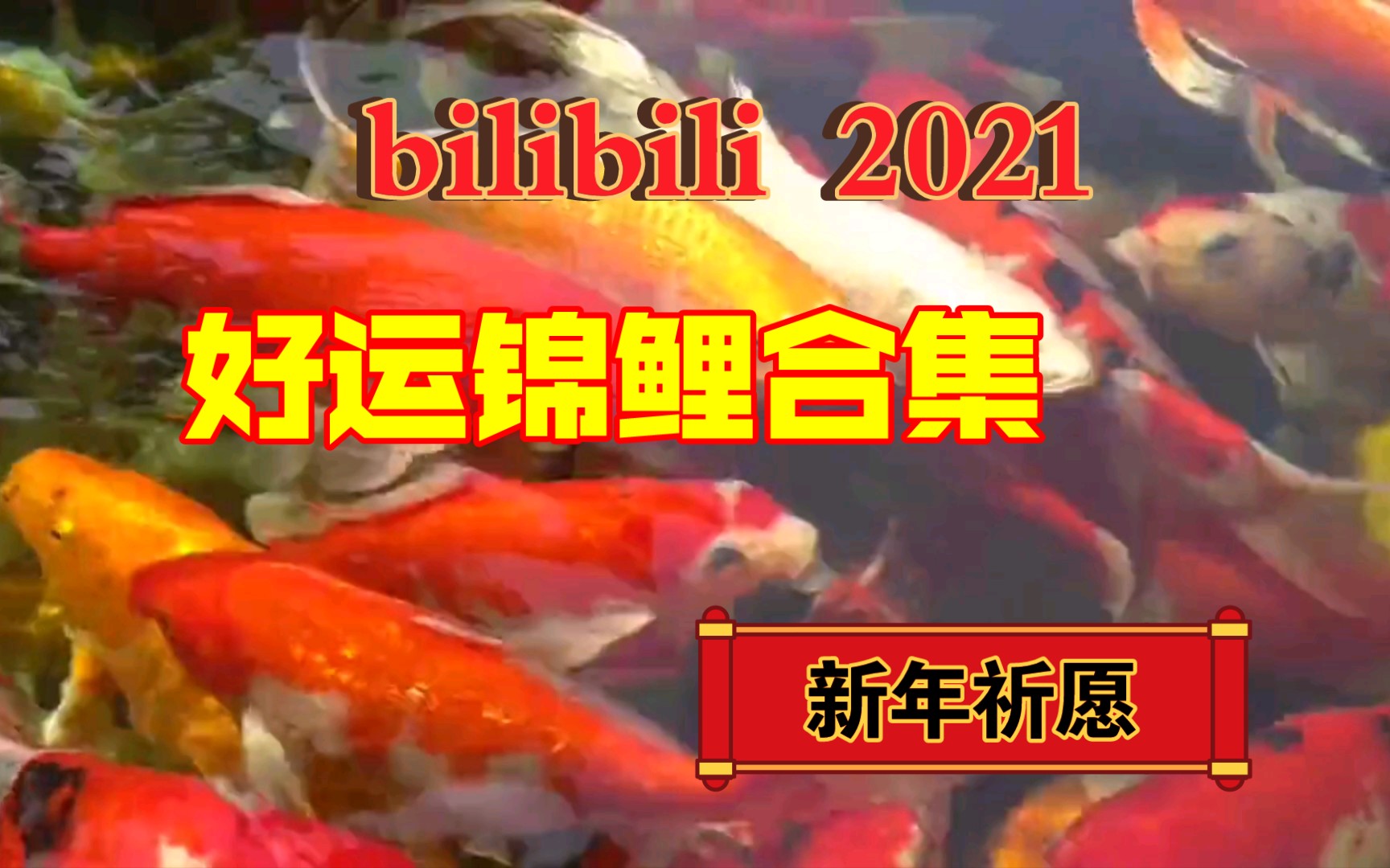 [图]好运锦鲤合集，祝您2022年好运来临，事业顺利，考试顺利，学业有成，金榜题名，期末全过，招财进宝，时来运转，水逆退散，霉运退散，贵人来临，坏人退散，感情顺利！