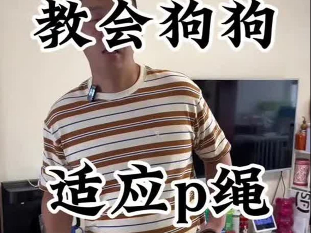 用好p绳,省心省力!哔哩哔哩bilibili