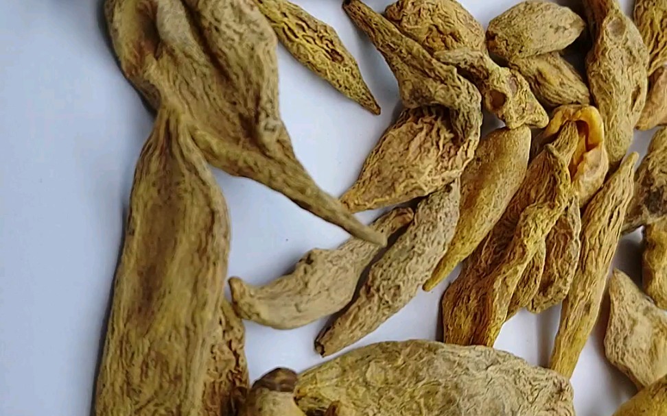 中药材黄丝郁金