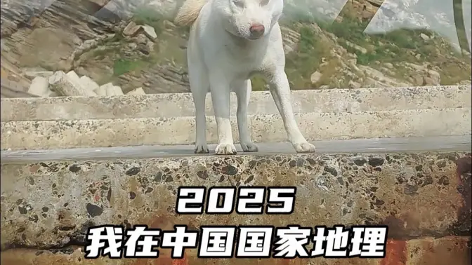 2025我在中国国家地理这样出差