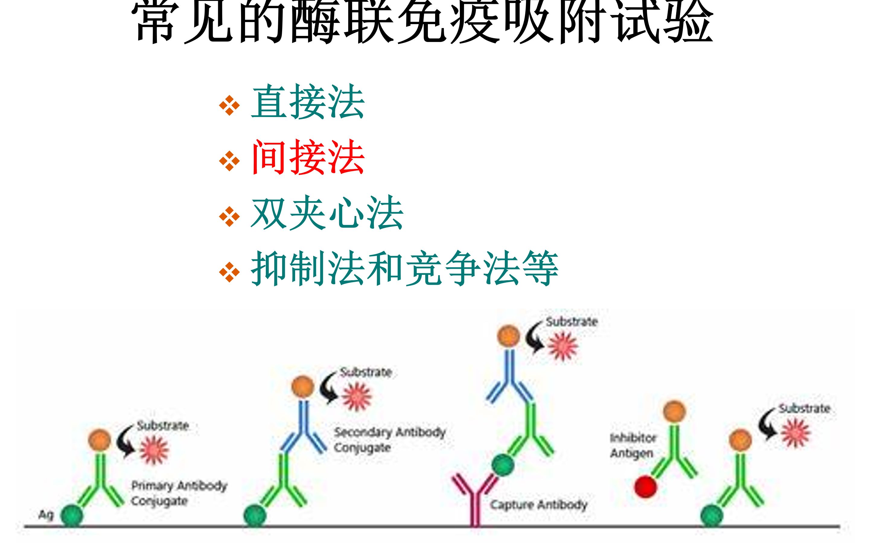 动物免疫学:103免疫学技术之EILSA哔哩哔哩bilibili