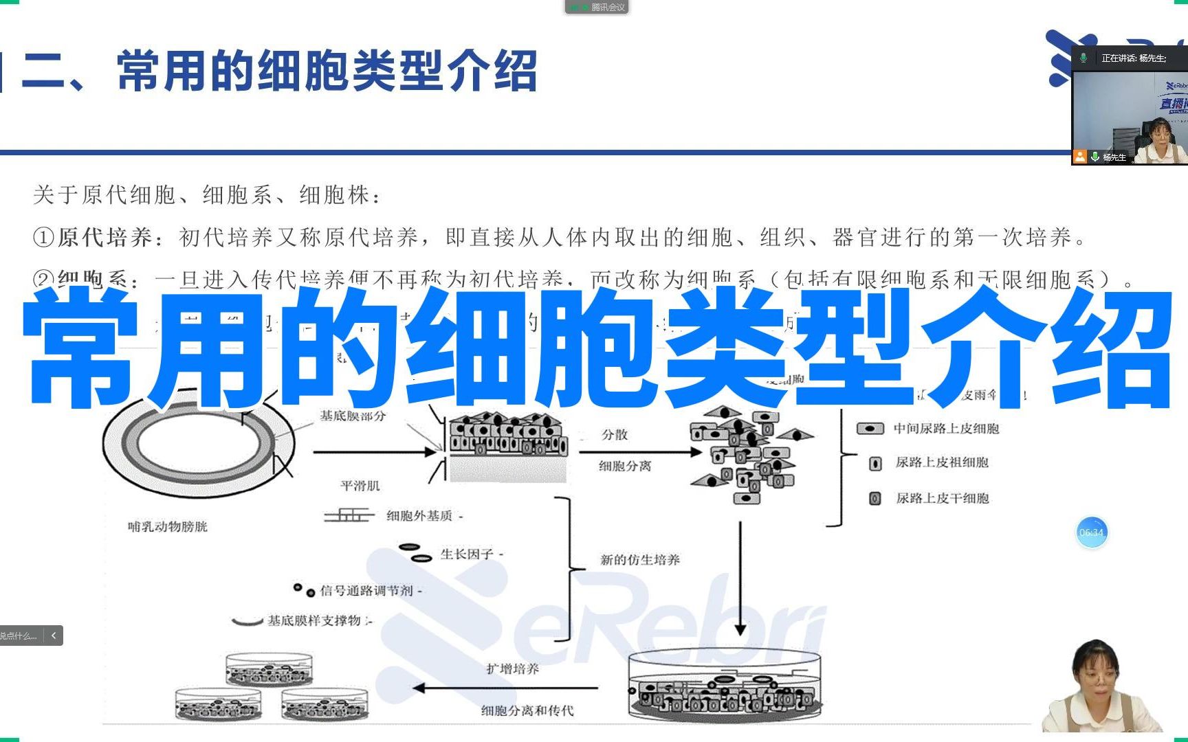 常见的细胞类型介绍哔哩哔哩bilibili