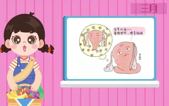 [图]孕期营养日记